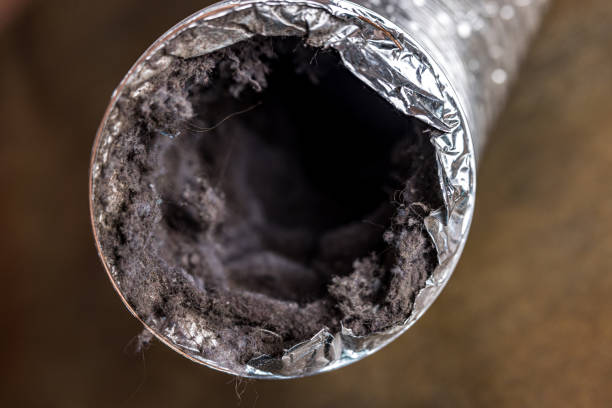 Best Residential Air Duct Cleaning in Kentwood, LA